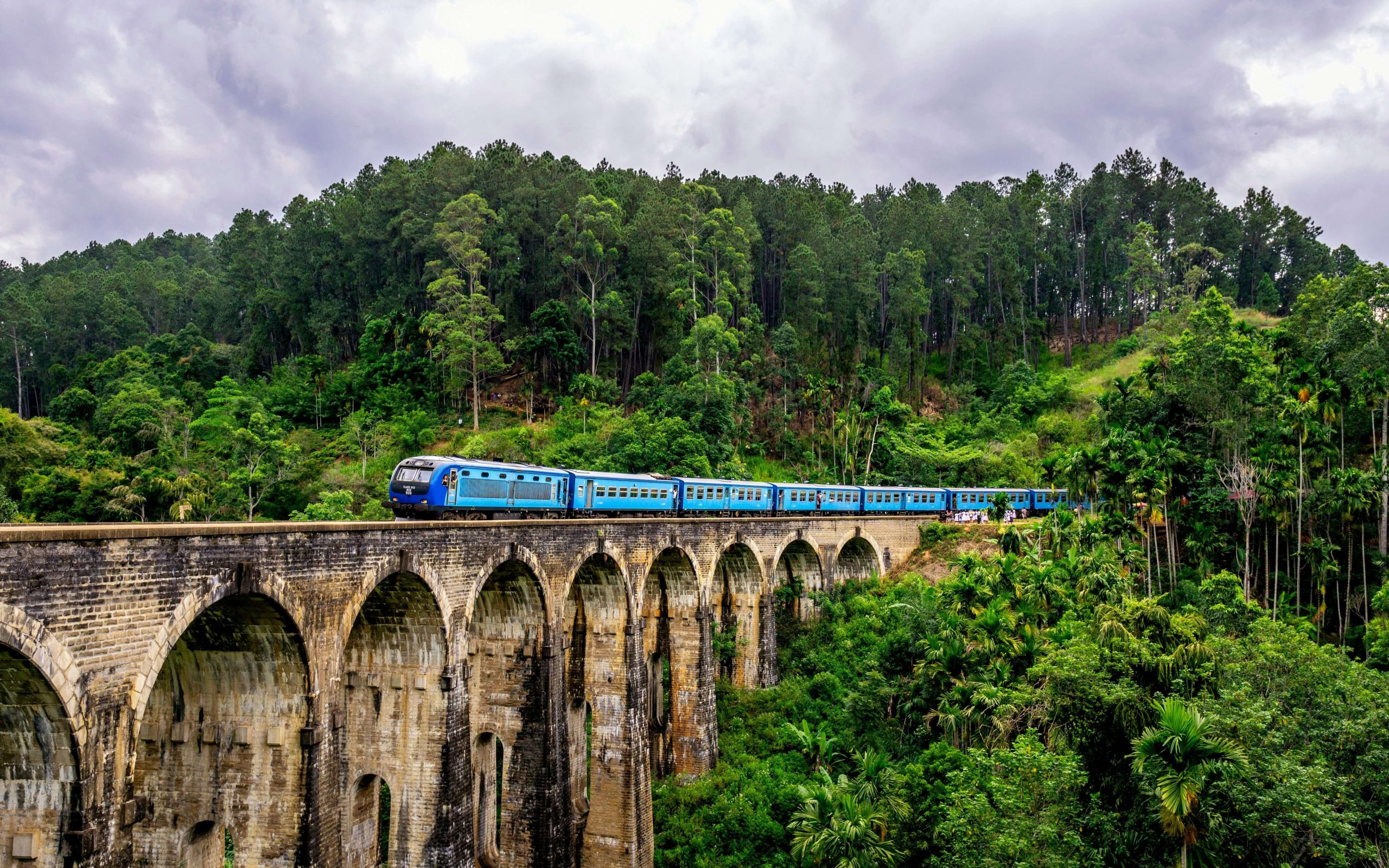 Scenic Train