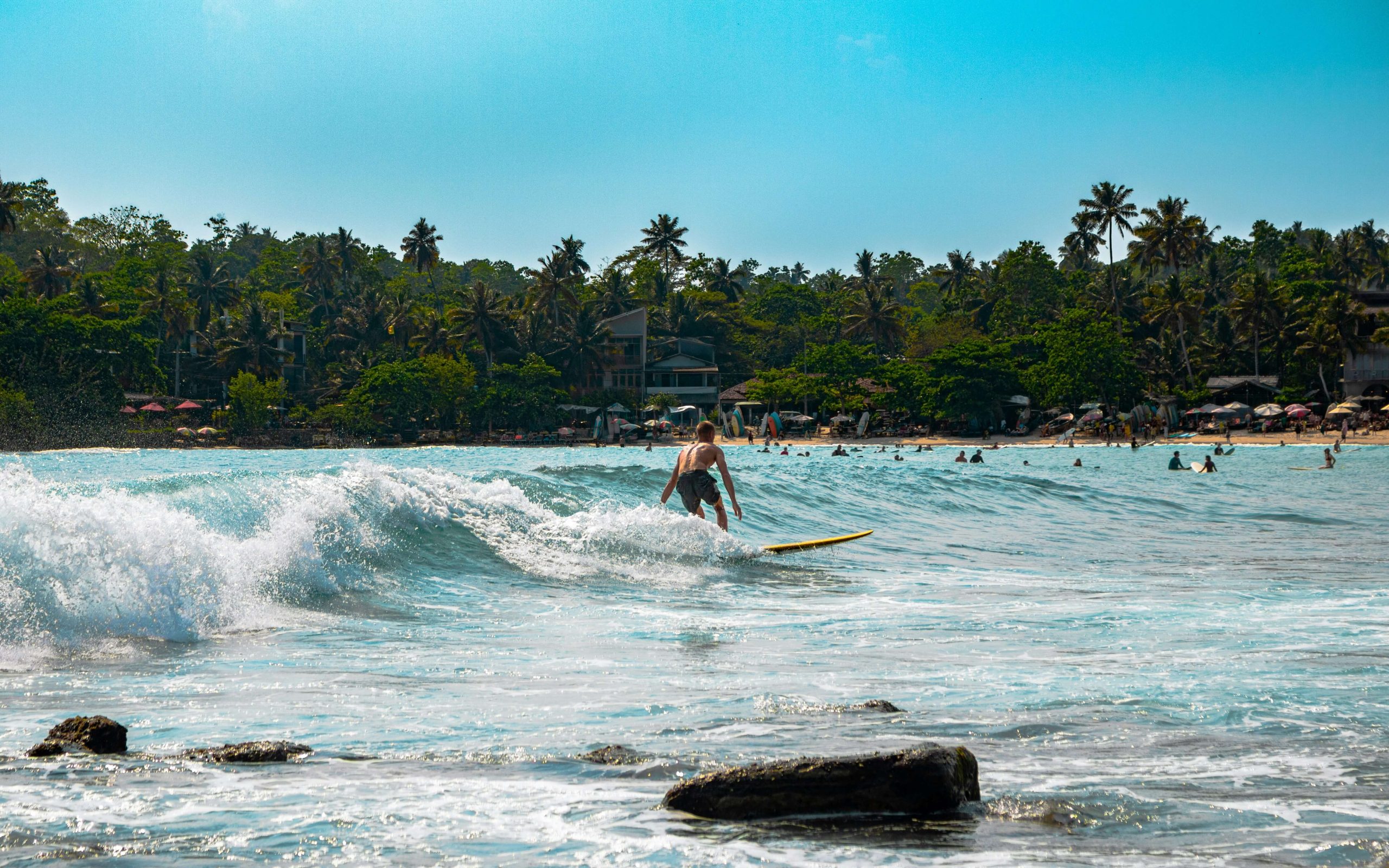 Surfing